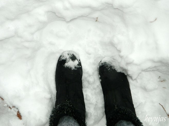 feet in snow